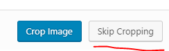 Skip Cropping Button