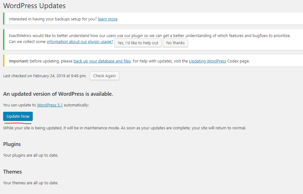 WordPress Updates Page